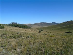 1235 ha Farm in Humansdorp