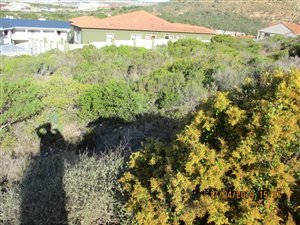 890 m² Land available in Island View