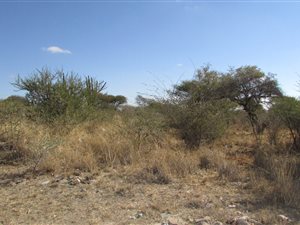 4.1 ha Land available in Ivydale