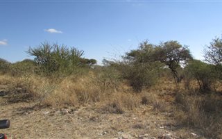 4.1 ha Land available in Ivydale