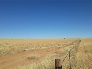 595.4 ha Farm in Reddersburg