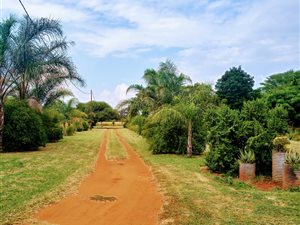 9.5 ha Farm in Rosslyn