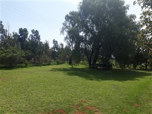 9 m² Farm in Bainsvlei
