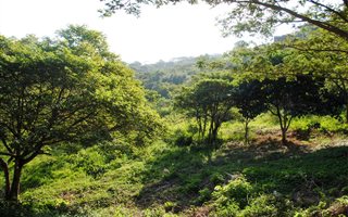 1305 m² Land available in Seaward Estates
