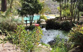 Game Farm in Waboomskraal