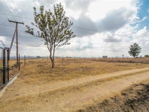 6 ha Farm in Timsrand AH