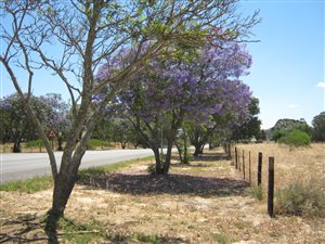 2.3 ha Farm in Hopefield