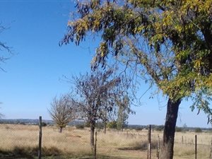 10.5 ha Farm in Meiringspark