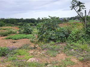1588 m² Land available in Verulam