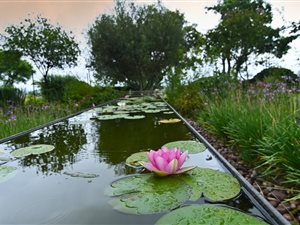21 ha Farm in Hennops River