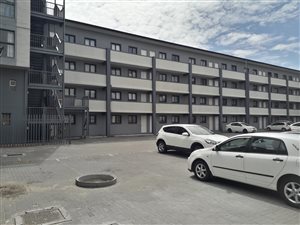 1 Bed Apartment in Maitland