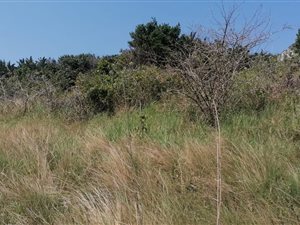 1438 m² Land available in Hibberdene