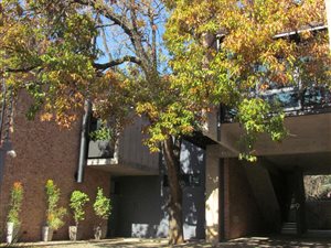 2 Bed Duplex in Menlo Park