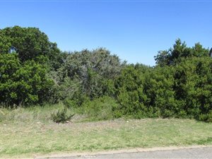 1309 m² Land available in Great Brak River