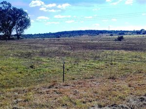 320 ha Farm in Potchefstroom Central