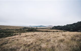 3.8 ha Land available in Daveyton