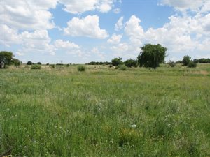 668 m² Land available in Parys Golf Estate