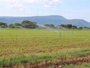 21 ha Farm in Mokopane