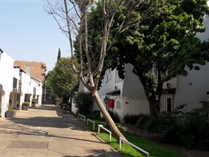 3 Bed Townhouse in Sunnyside