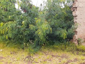 504 m² Land available in Lebowakgomo