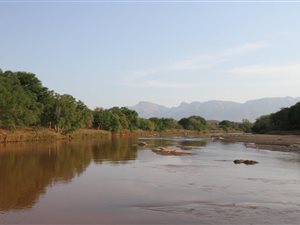 100 ha Farm in Hoedspruit