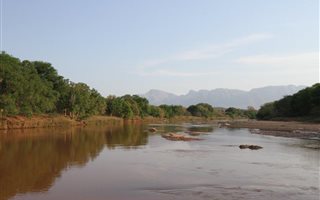 100 ha Farm in Hoedspruit