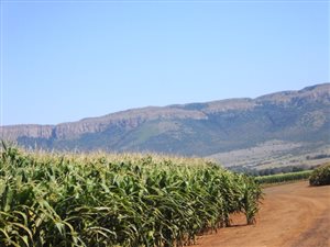 10 ha Farm in Skeerpoort