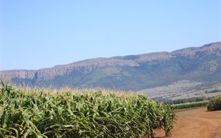 10 ha Farm in Skeerpoort
