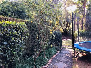 2 Bed Townhouse in Fairmount