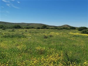 9185 ha Farm in Upington