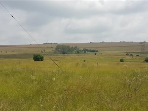 48 ha Land available in Elandsfontein AH