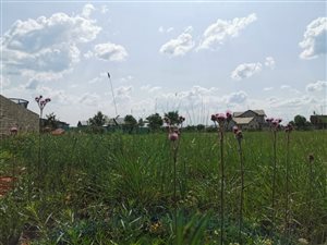 994 m² Land available in The Hills