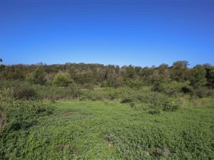 6.3 ha Land available in Amalinda