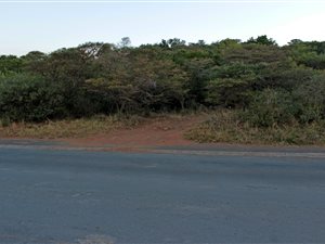 1058 m² Land available in Cintsa