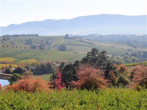 74 ha Farm in Elgin