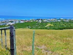 10 ha Farm in Agulhas