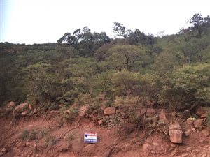 1000 m² Land available in Presidentsrus