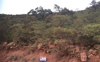 1000 m² Land available in Presidentsrus