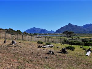 731 m² Land available in Bluewater Estate