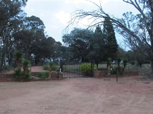 4 ha Farm in De Deur
