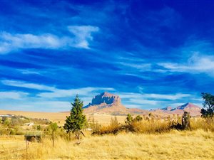 2 ha Farm in Harrismith