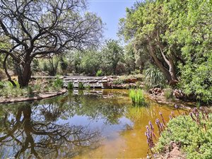 4 Bed House in Kyalami