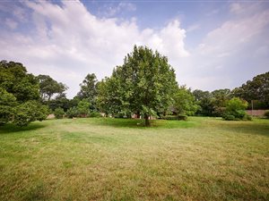 1.2 ha Farm in Carlswald Estate