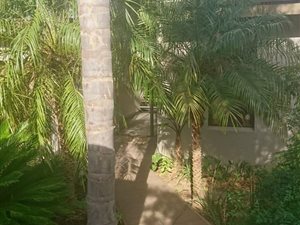 4 Bed House in Dalsig