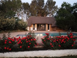 4 Bed House in Rispark