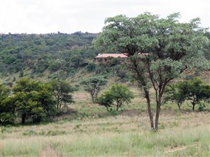 840 ha Farm in Mookgophong (Naboomspruit)