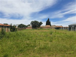 1125 m² Land available in Cultura Park