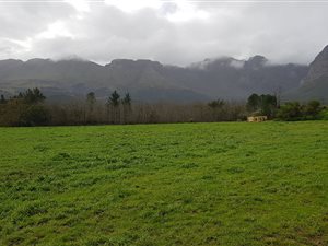 3 ha Farm in Paarl