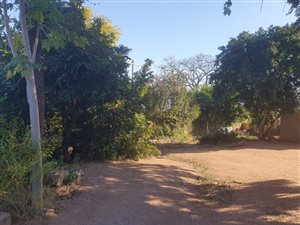 Commercial space in Karino