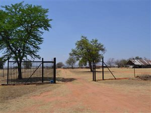 650 ha Farm in Alma